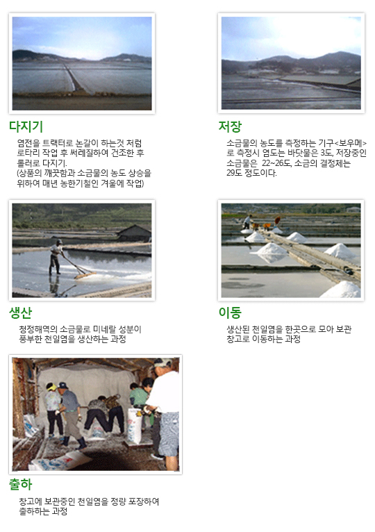 천일염의 생산과정